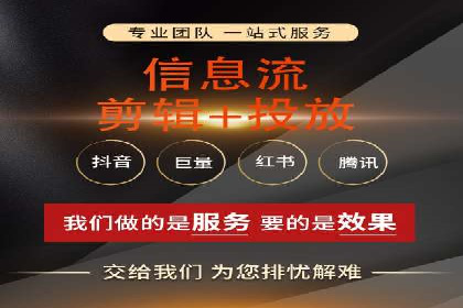 SEM专员案例：数据分析与优化